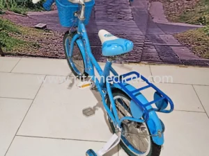 Blue Kids Bicycle For Rent