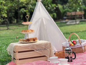 Classic Summer Picnic Set For Rent