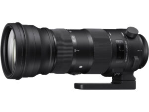 Sigma 150-600mm f/5-6.3 DG OS HSM Sports Lens For Canon EF For Rent