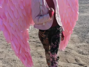 Angel Wing Special Huge Wing Pink Gradient Wings Spirit Yousei Cosplay Tsubasa for Rent