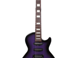 ESP Les Paul GrassRoots LUNA SEA INORAN for Rent