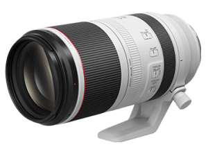 RF100-500mm f/4.5-7.1L IS USM for Rent